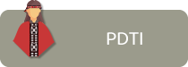 PDTI